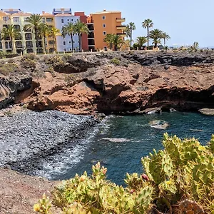 https://seaparaiso-heated-poolprivate-parkingfast-wifi.tenerifehoteles.net